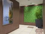 Офисный коридор с зеленой стеной из мха